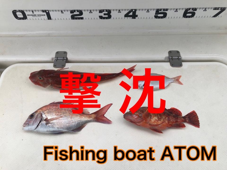 和歌山のタイラバ遊漁船ATOM