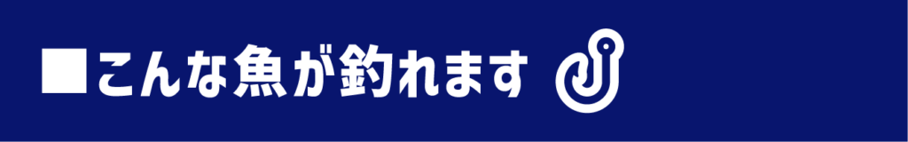 和歌山 タイラバ チャーター 遊漁船ATOM