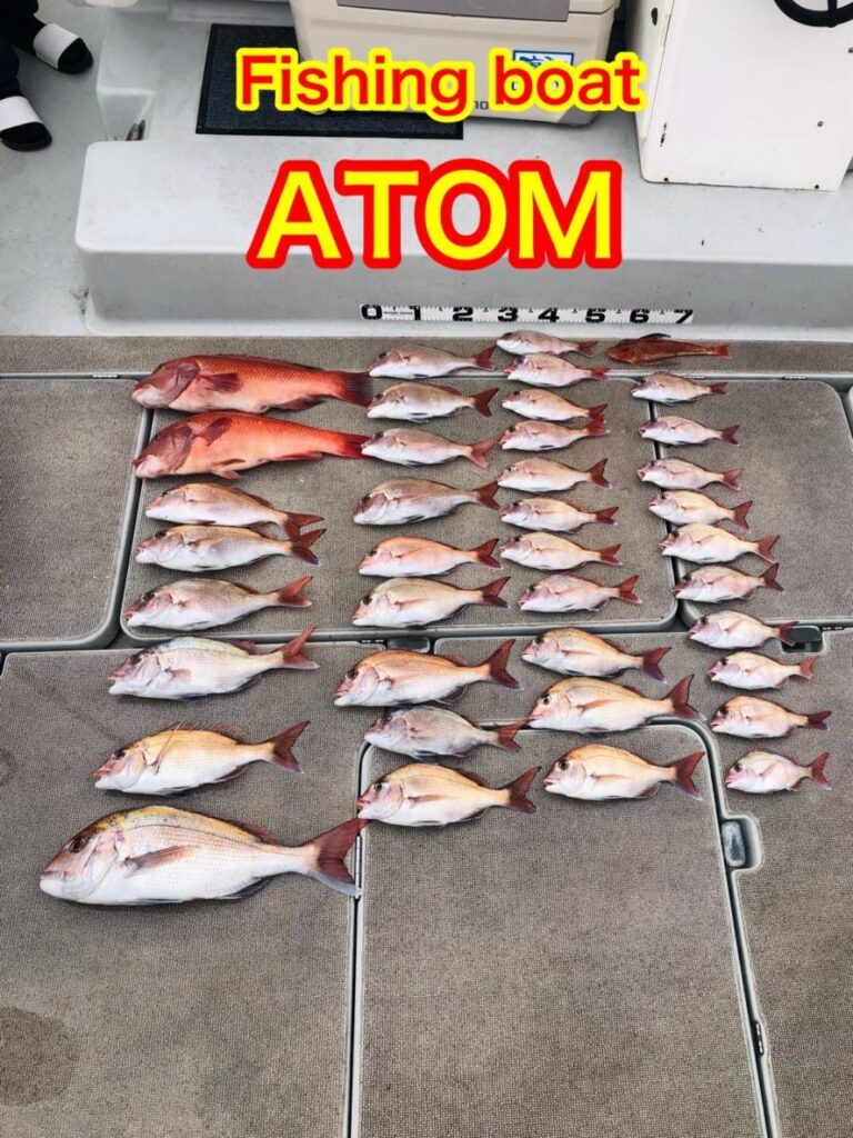 和歌山のタイラバ釣り船 遊漁船ATOM