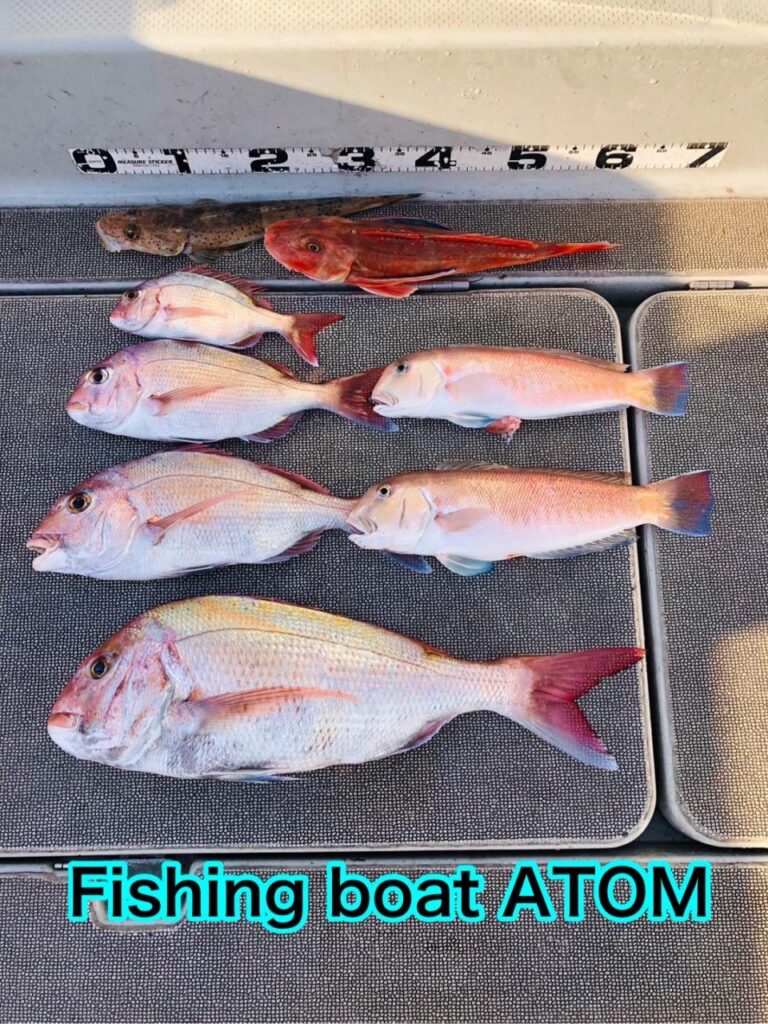 和歌山のタイラバ釣り船 遊漁船ATOM