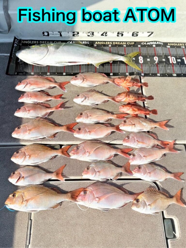 タイラバ釣果　真鯛　ブリ『ATOM』