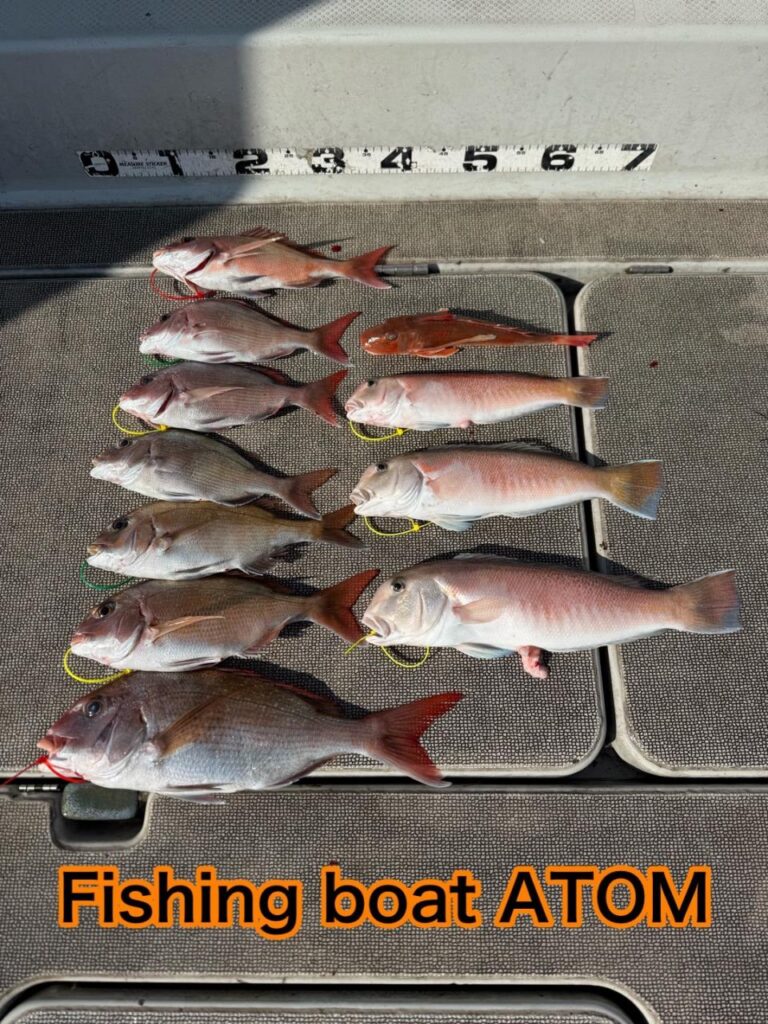 和歌山 タイラバ 遊漁船 ATOM