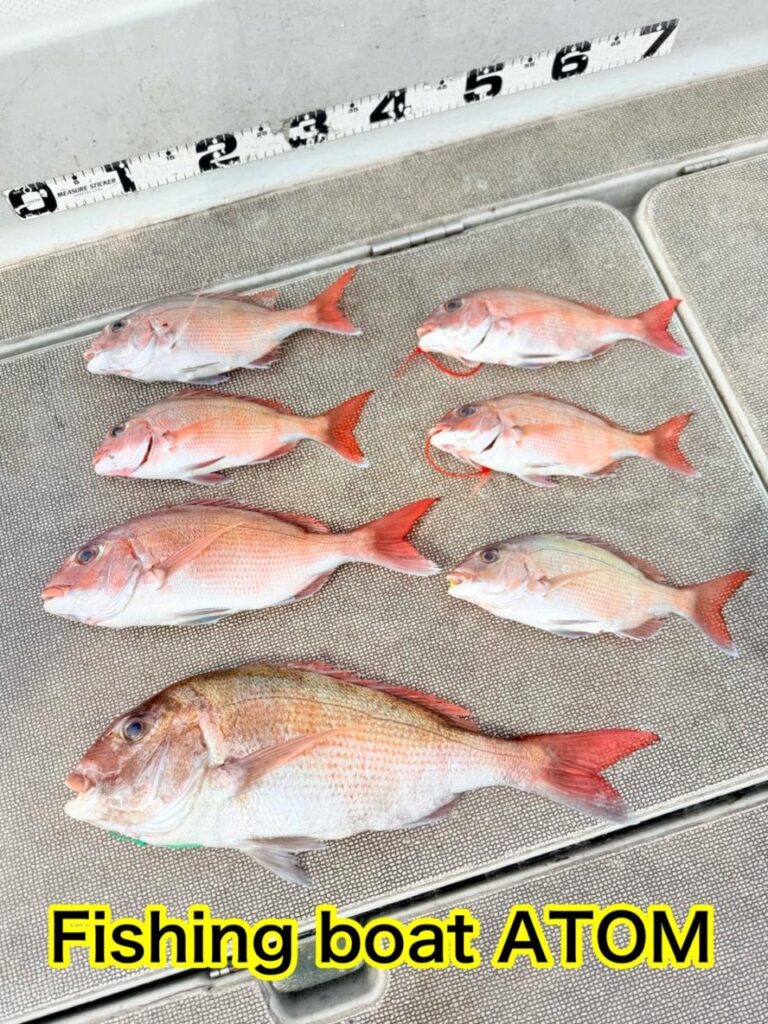 和歌山 タイラバ 遊漁船 ATOM