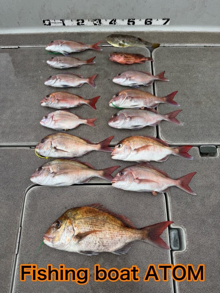 和歌山 タイラバ 遊漁船 ATOM