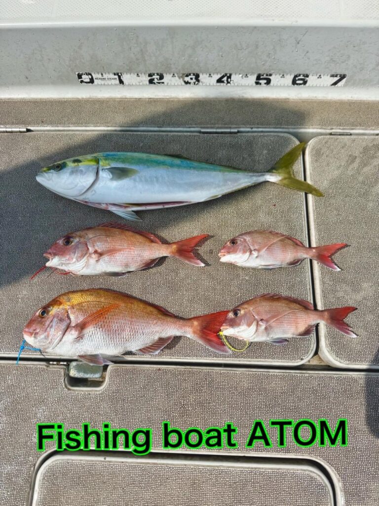 和歌山 タイラバ 遊漁船 ATOM