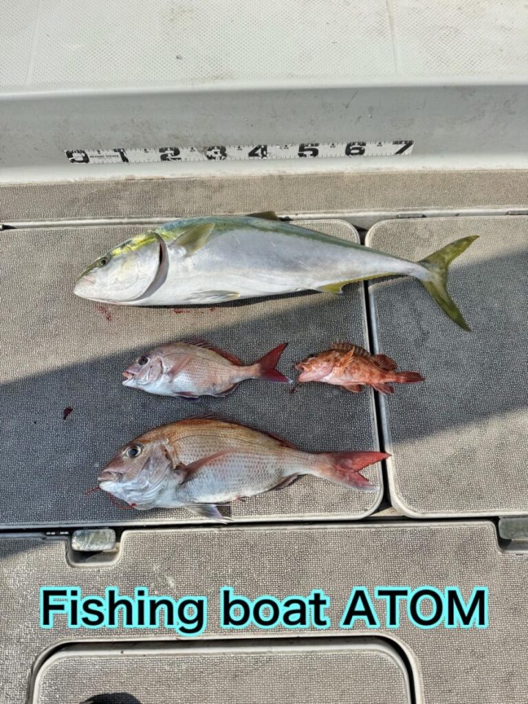 和歌山 タイラバ 遊漁船 ATOM