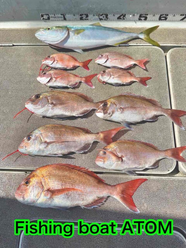 和歌山タイラバ遊漁船ATOM