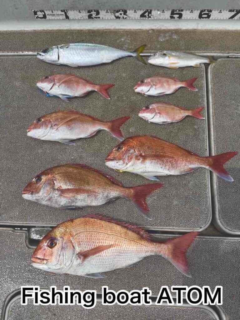 和歌山タイラバ遊漁船ATOM